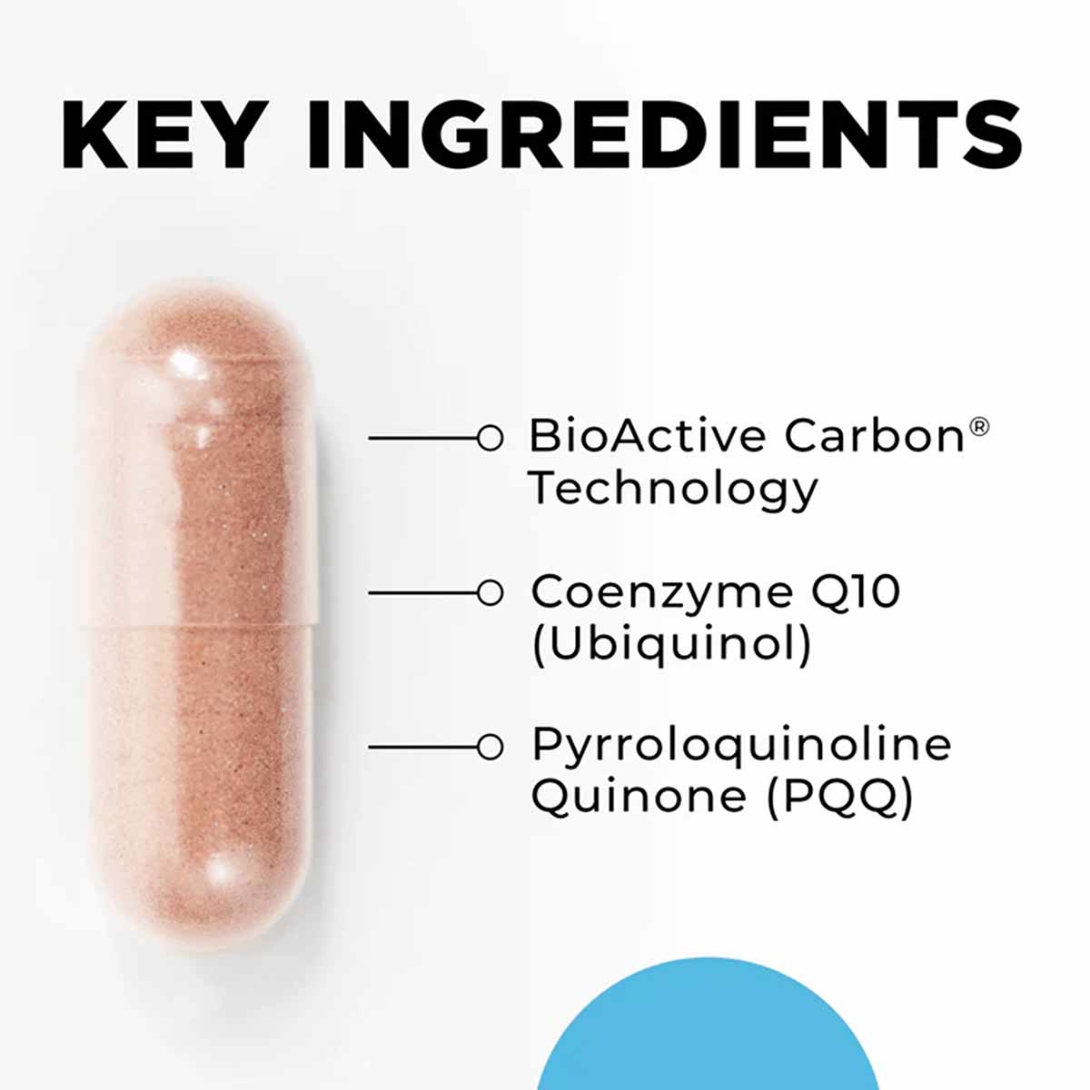 MitoActive, by CellCore