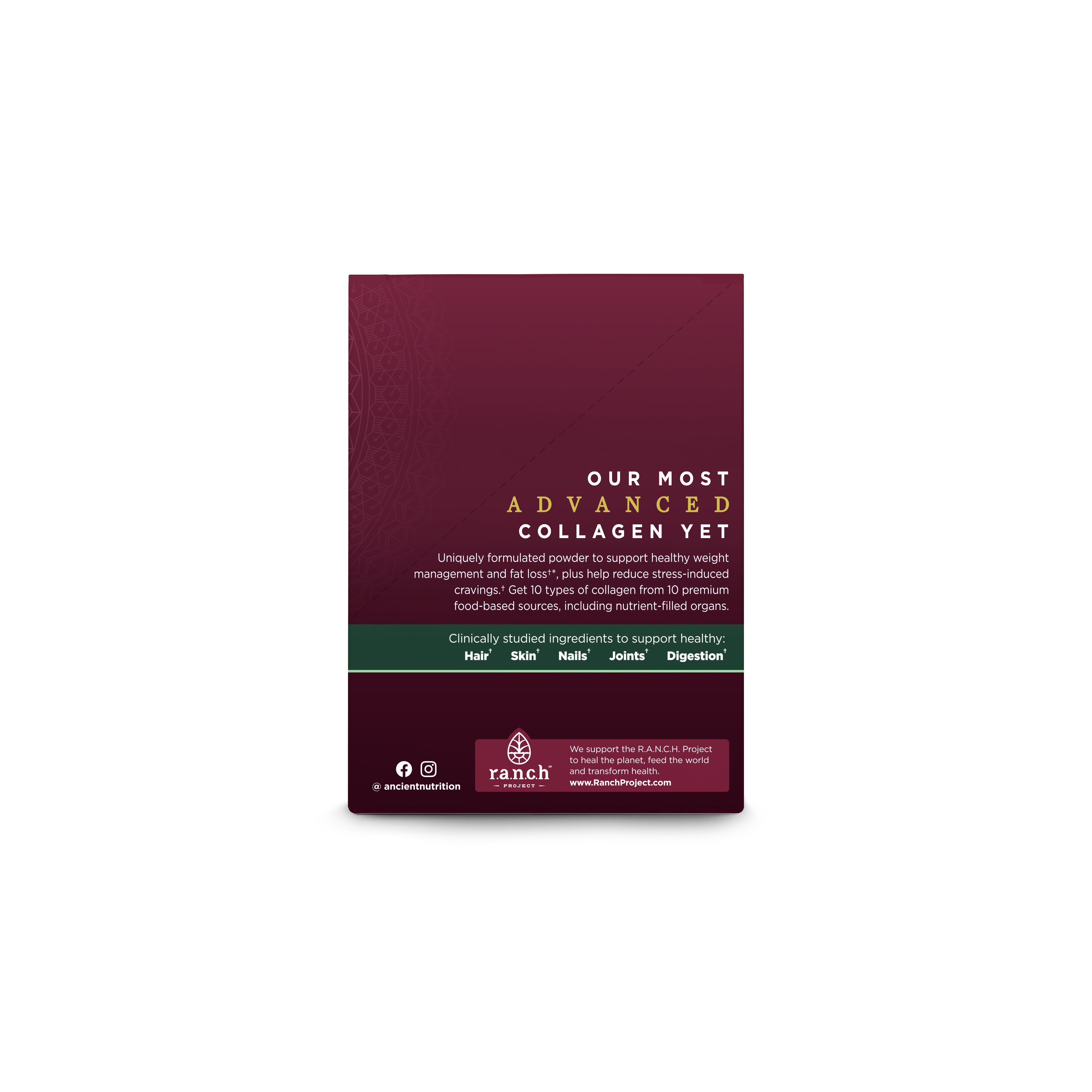 Multi Collagen Advanced Lean Sachets, by Ancient Nutrition