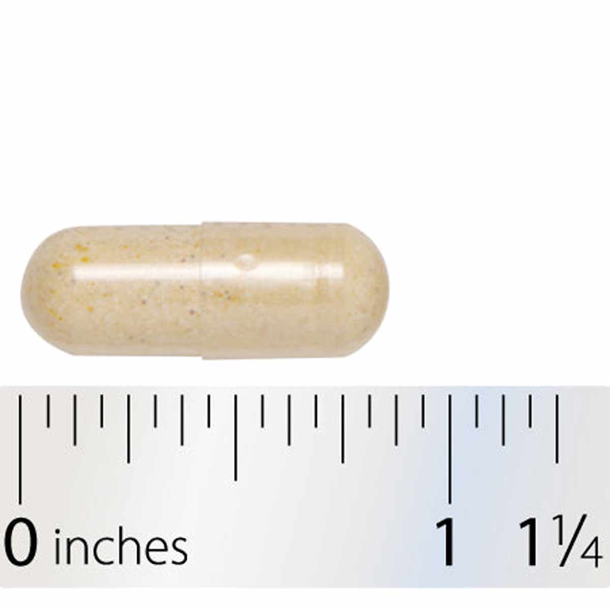 Beige capsule supplement shown next to ruler measuring approximately one inch in length.