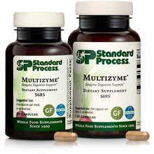 Multizyme Dairy-Free, by Standard Process