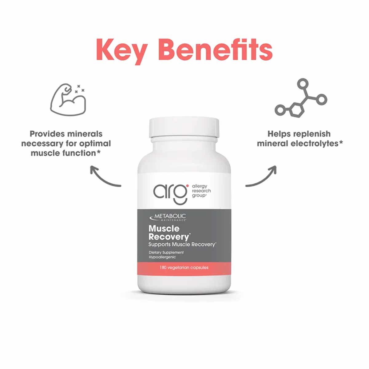 White bottle of Allergy Research Group Muscle Recovery dietary supplement with 180 vegetarian capsules and gray and coral lab