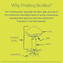 Myco-Renew, 120 Vegan Capsules, by True Grace, image #4