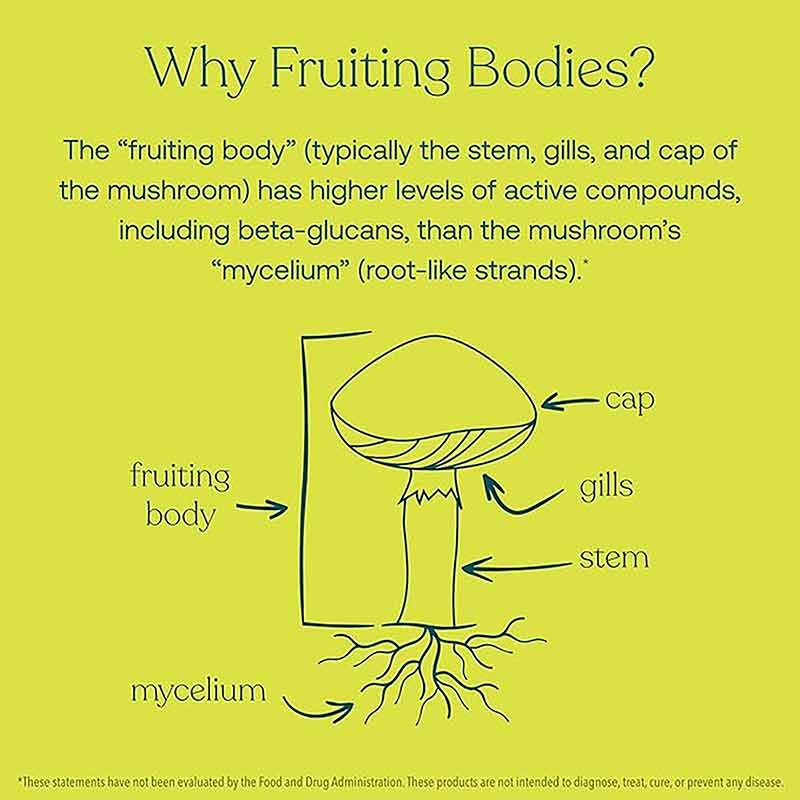 Myco-Renew, 60 Vegan Capsules, by True Grace, image #3