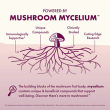 MycoBenefits Peri Meno, by Host Defense