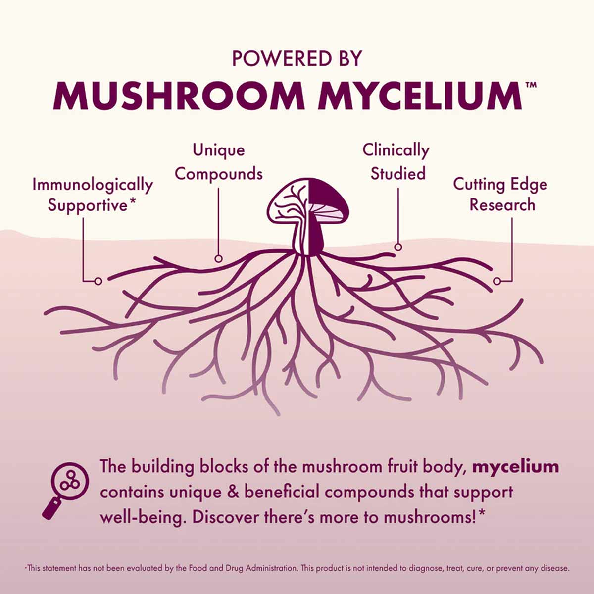 MycoBenefits Peri Meno, by Host Defense