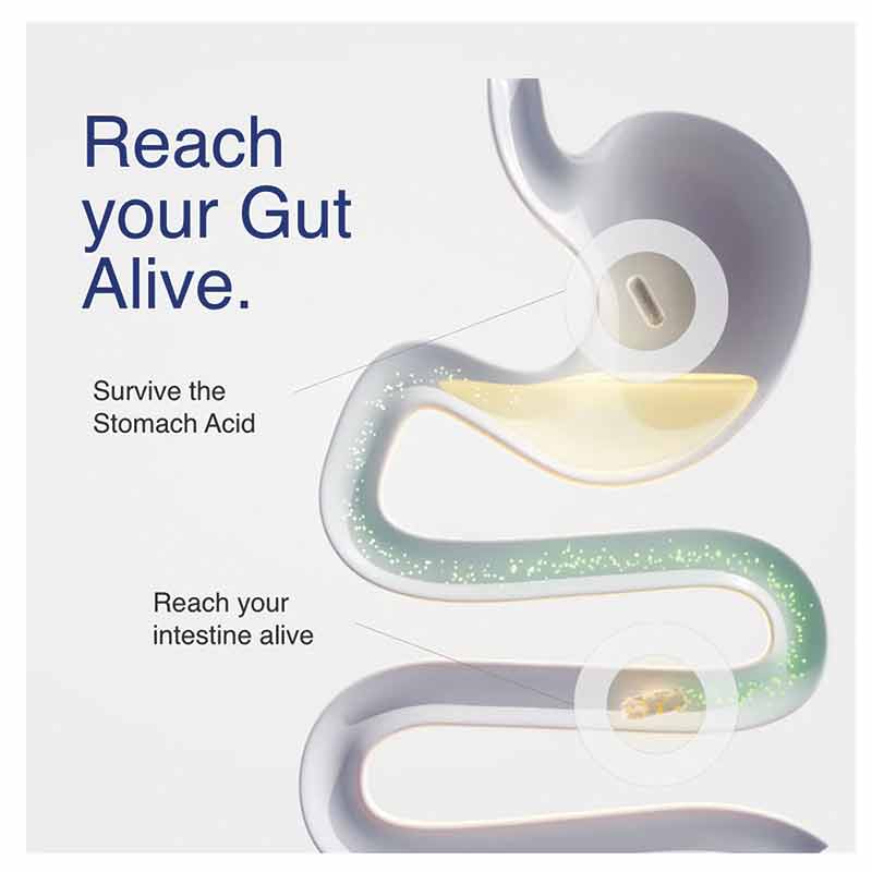 Mycrobiome Complete Probiotic Women's, 30 Capsules, by Solaray, image #4