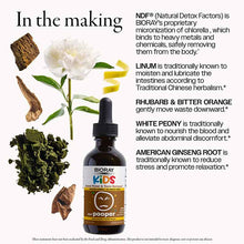 NDF Pooper Herbal Drops, Mango, 2 Oz, by BioRay Kids, image #5