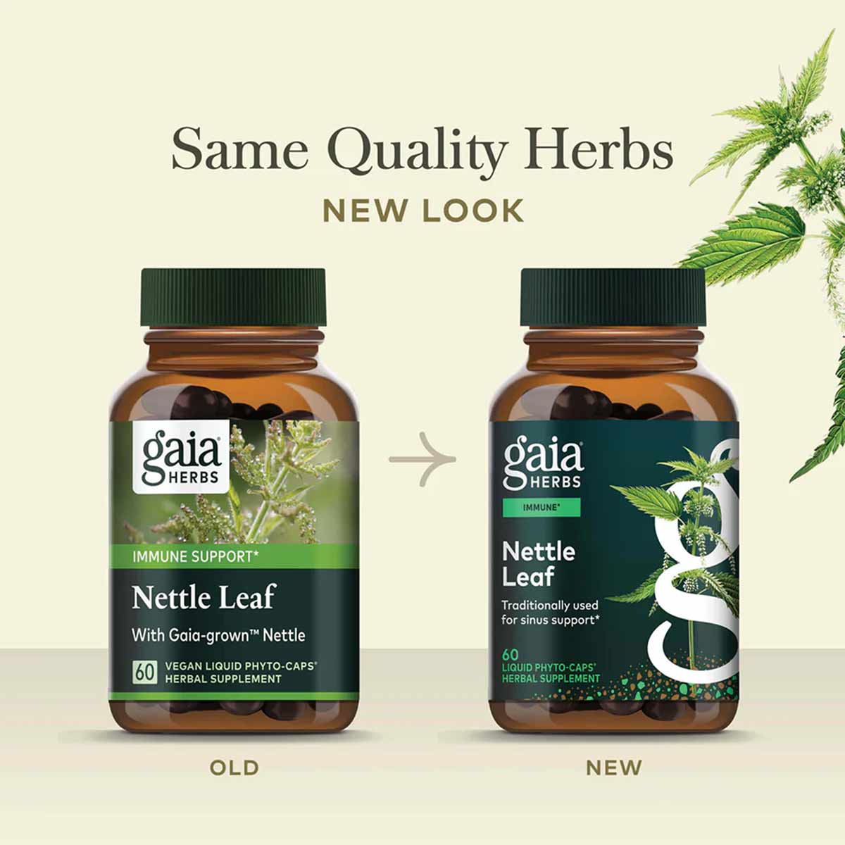 Two brown glass bottles of Gaia Herbs Nettle Leaf supplement showing old and new label designs side by side with nettle plant