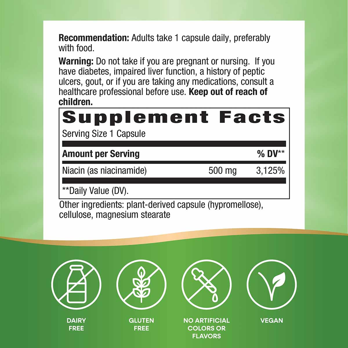 Supplement label showing niacinamide 500 mg dosage information with recommendation, warnings, and ingredient list on white ba
