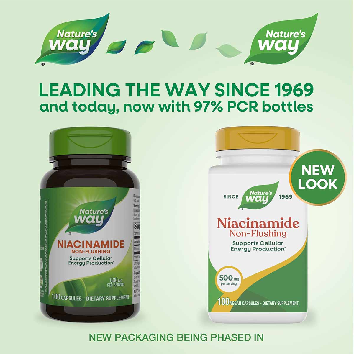 Two Nature's Way Niacinamide 500mg Non-Flushing bottles shown side-by-side, one with dark green cap and one with gold cap, ea