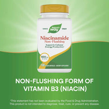 White and green supplement bottle with gold cap labeled "Niacinamide Non-Flushing 500 mg, 100 vegan capsules" by Nature's Way