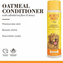 Oatmeal Conditioner for Dogs, 10 Oz, by Burt's Bees Pets, image #4