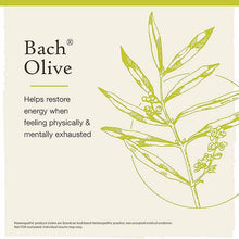 Olive Flower Essence, by Bach Flower Remedies, image #3