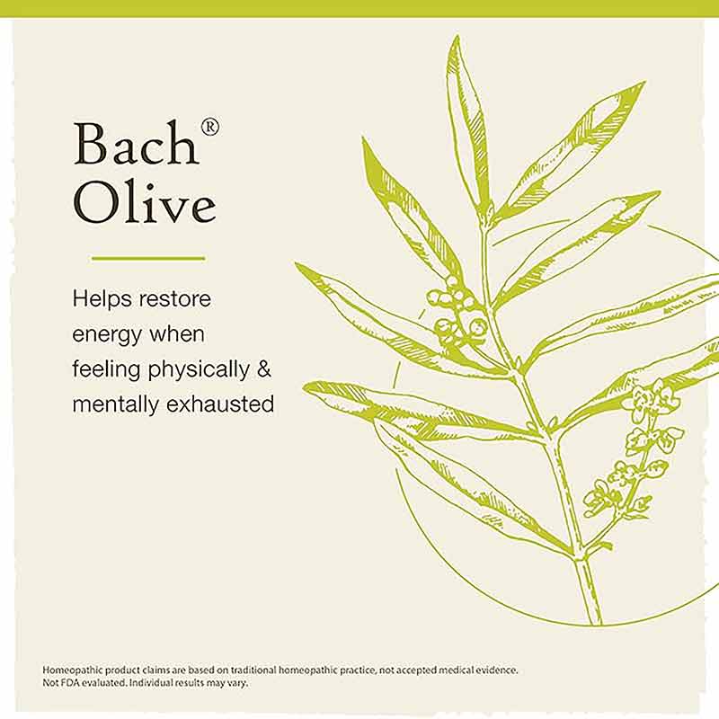 Olive Flower Essence, by Bach Flower Remedies, image #3