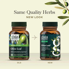 Olive Leaf, by Gaia Herbs