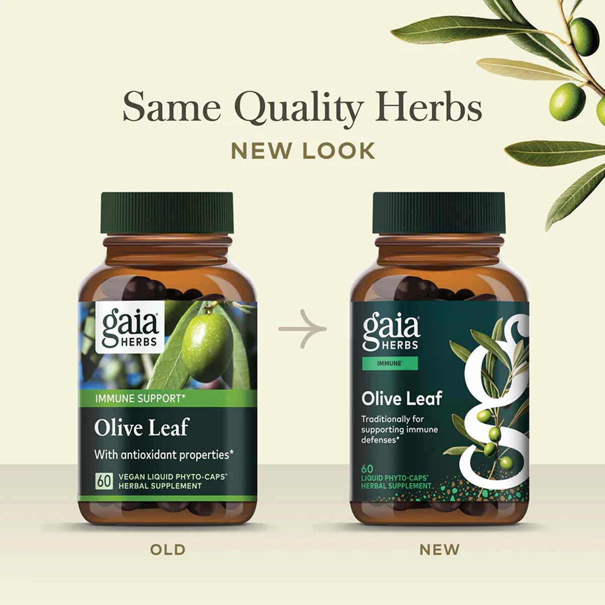 Olive Leaf, by Gaia Herbs