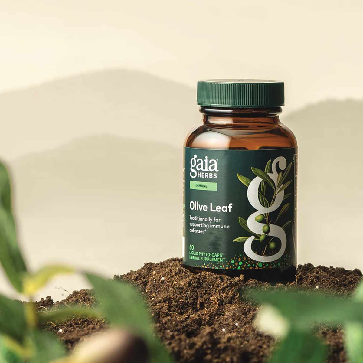 Olive Leaf, by Gaia Herbs