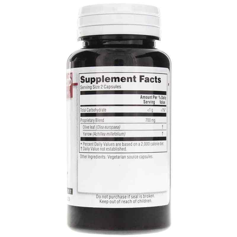 Olive Leaf, by Kroeger Herb, image #2