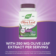 Olive Leaf Standardized, by Natures Way