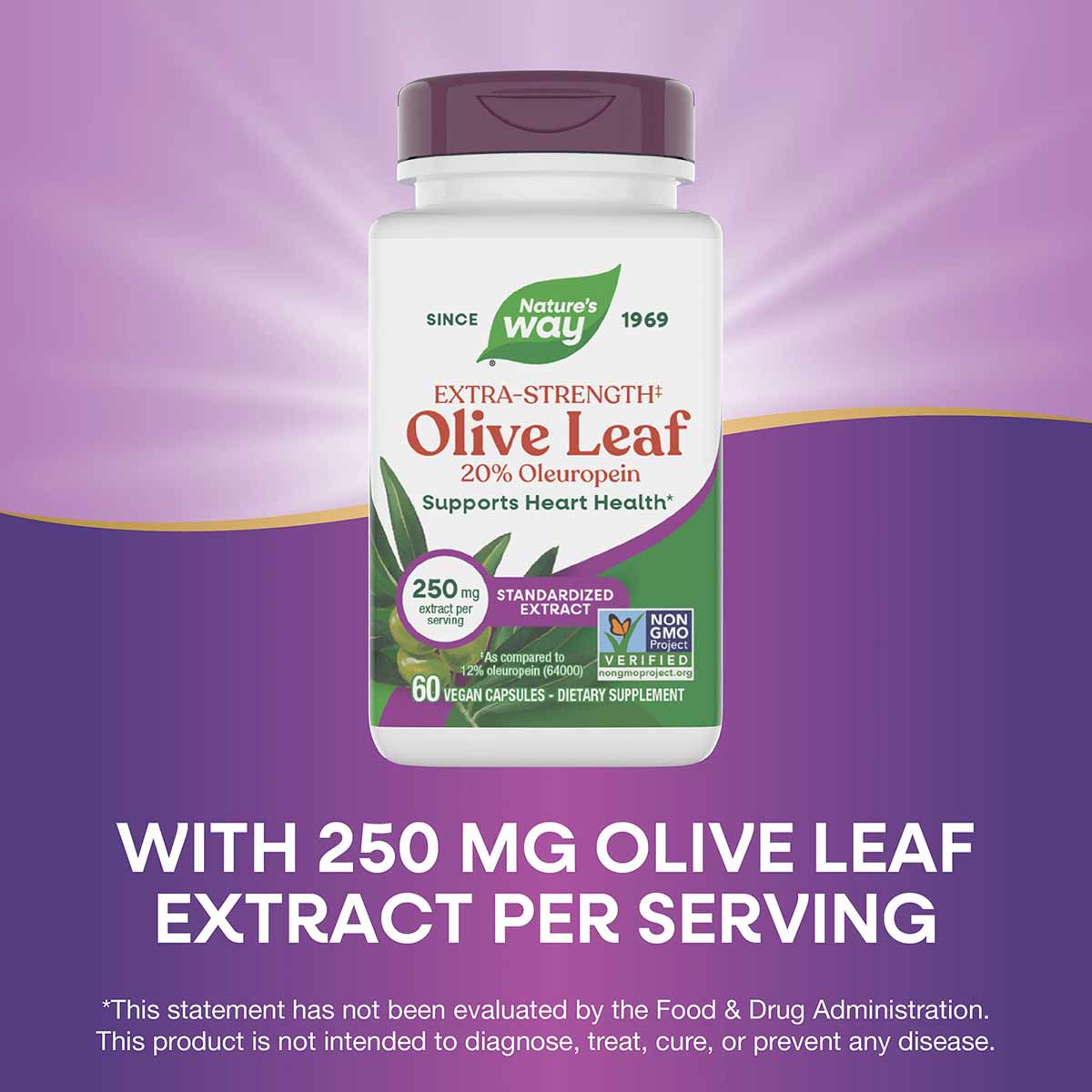 Olive Leaf Standardized, by Natures Way