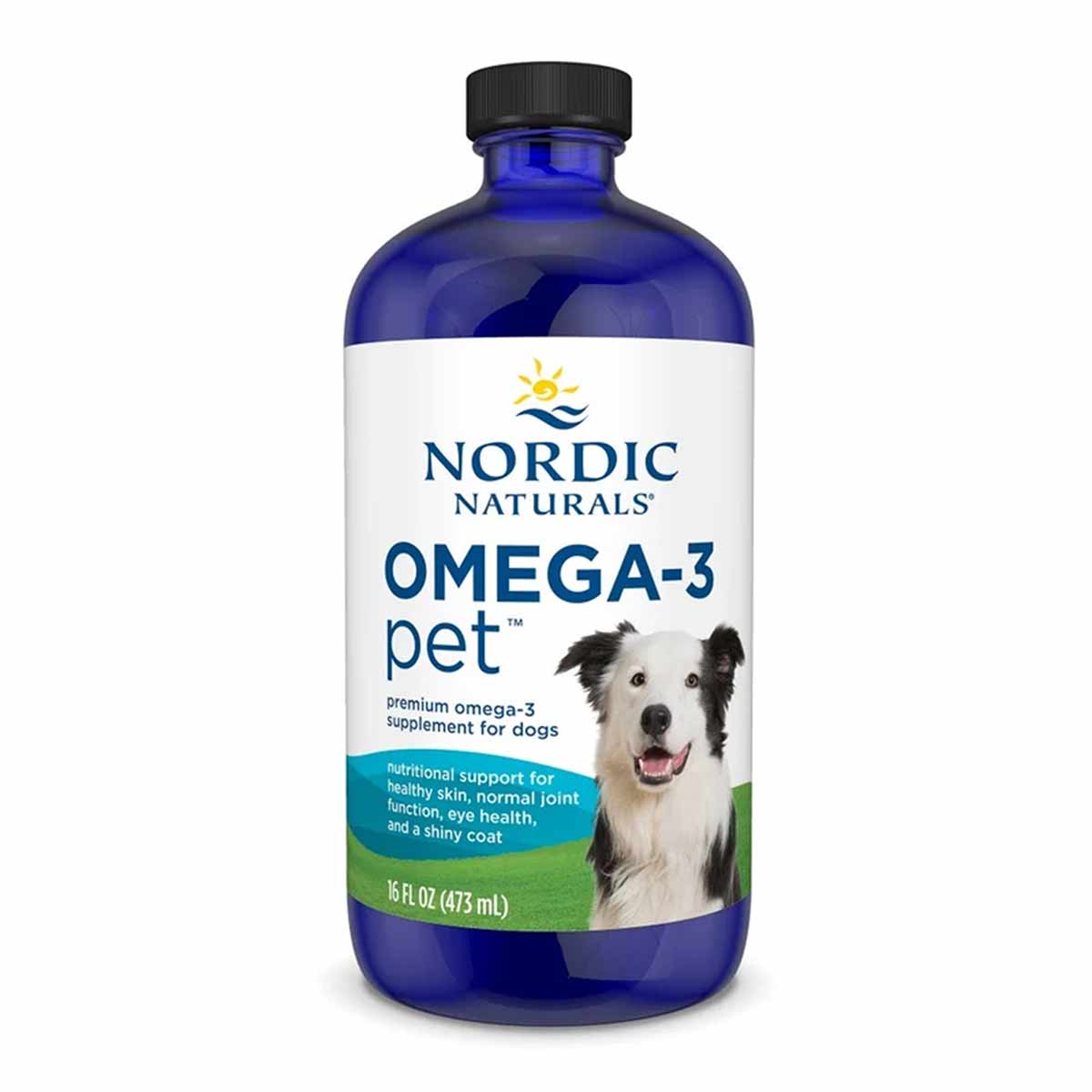 Omega-3 Pet Liquid for Dogs, 16 Oz, by Nordic Naturals
