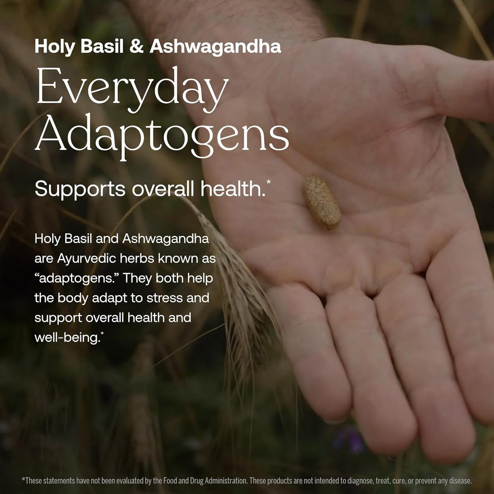 Open palm holding a single tan supplement capsule with text about Holy Basil and Ashwagandha adaptogens.