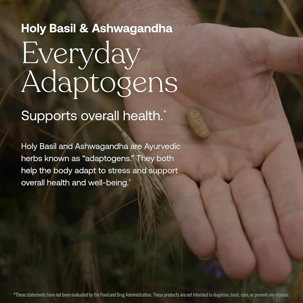 Open hand holding a single tan supplement capsule with blurred natural background and text overlay.