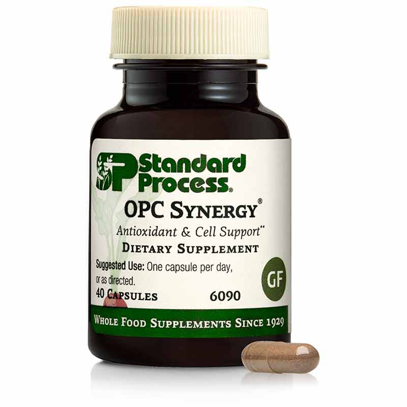 OPC Synergy, by Standard Process