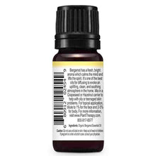 Organic Bergamot Essential Oil, .33 Oz, by Plant Therapy, image #2