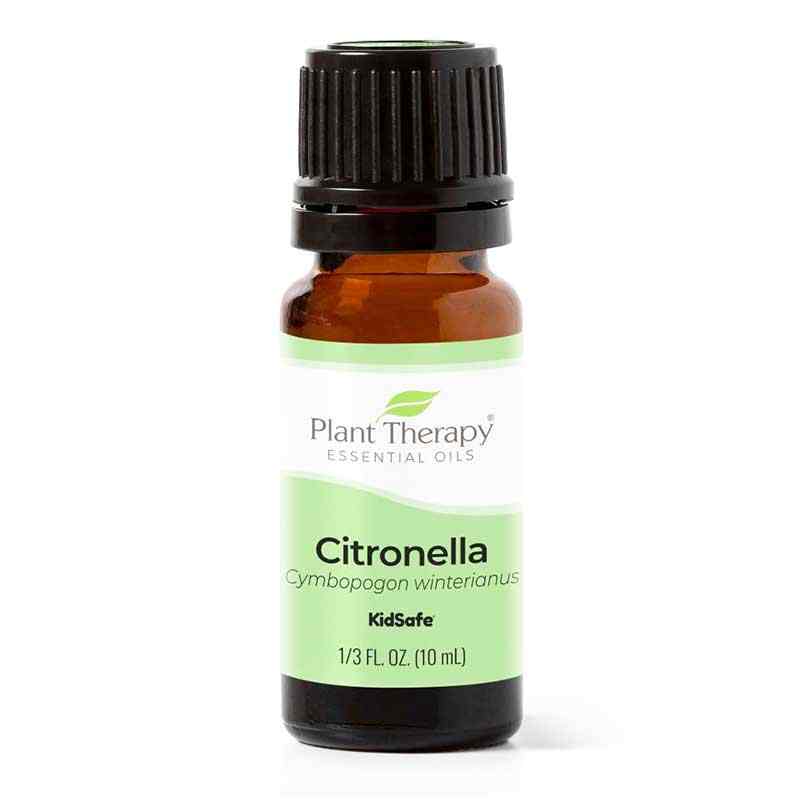Organic Citronella Essential Oil, .33 Oz, by Plant Therapy