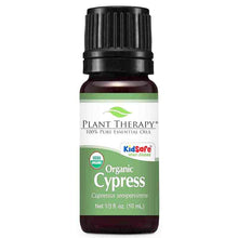 Organic Cypress Essential Oil, .33 Oz, by Plant Therapy