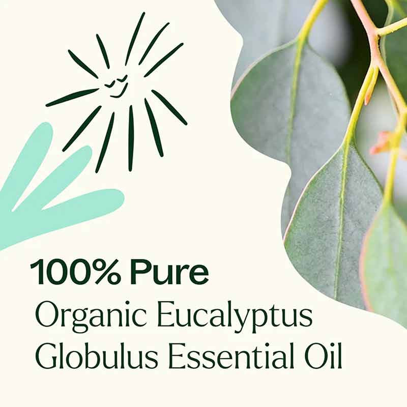 Organic Eucalyptus Globulus Essential Oil, by Plant Therapy, image #4