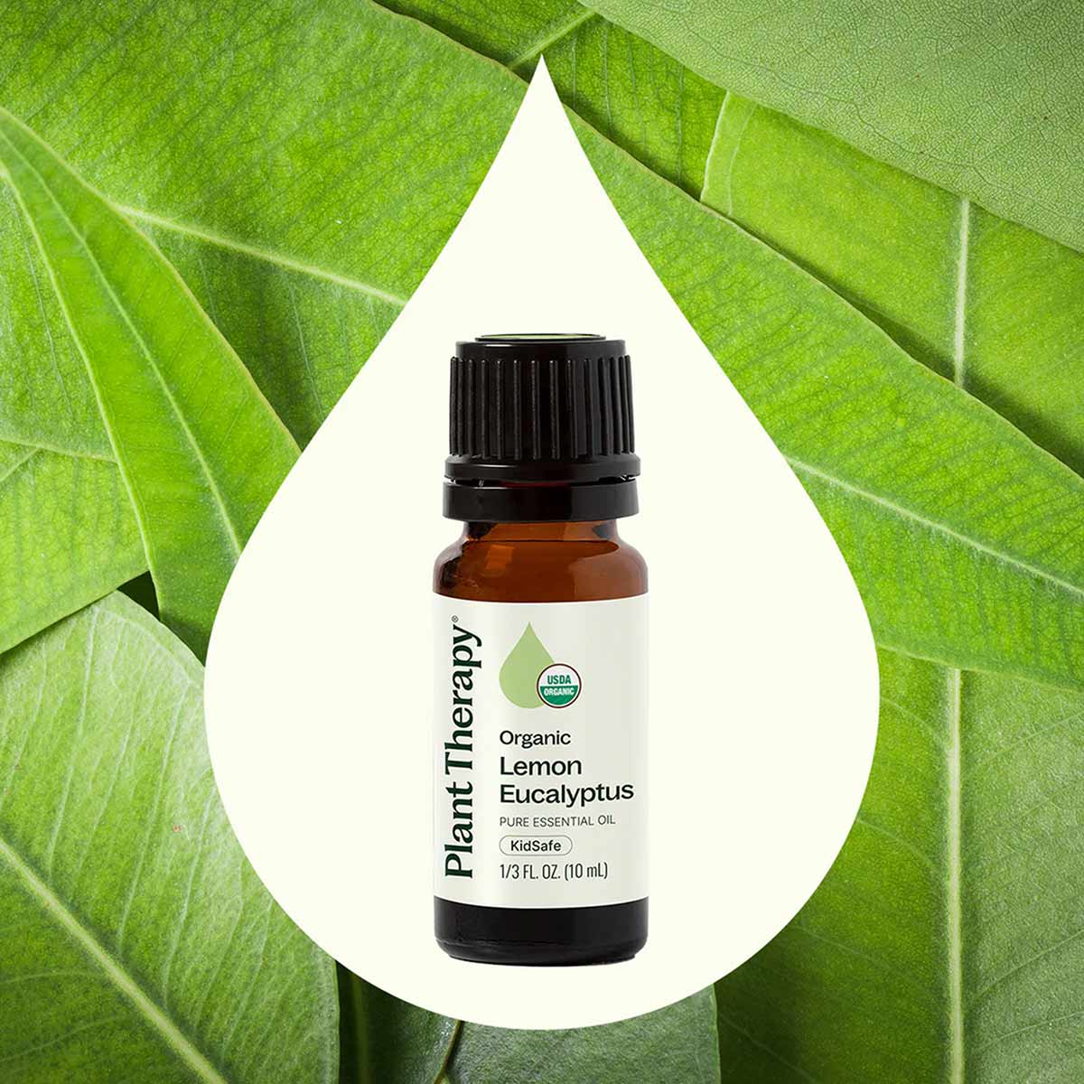 Amber glass bottle with black cap labeled "Plant Therapy Organic Lemon Eucalyptus Pure Essential Oil KidSafe 1/3 FL OZ" again
