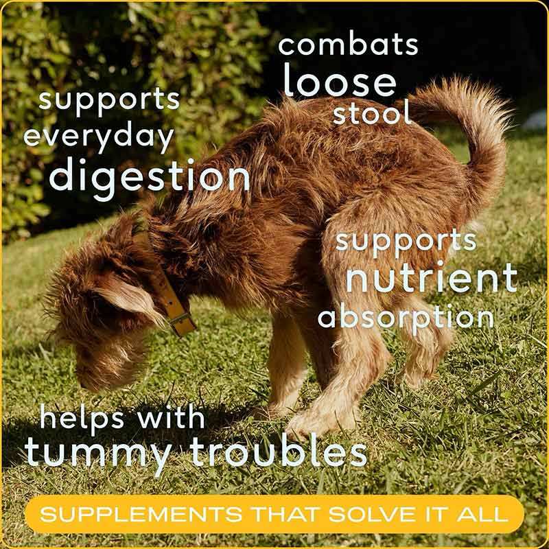 Organic Pumpkin Fiber Powder, Digestive Supplement For Dogs, 16 Oz, by Native Pet, image #3