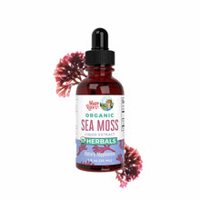 Dark amber glass dropper bottle of MaryRuth's Organics sea moss liquid extract with black dropper cap and dried sea moss spec