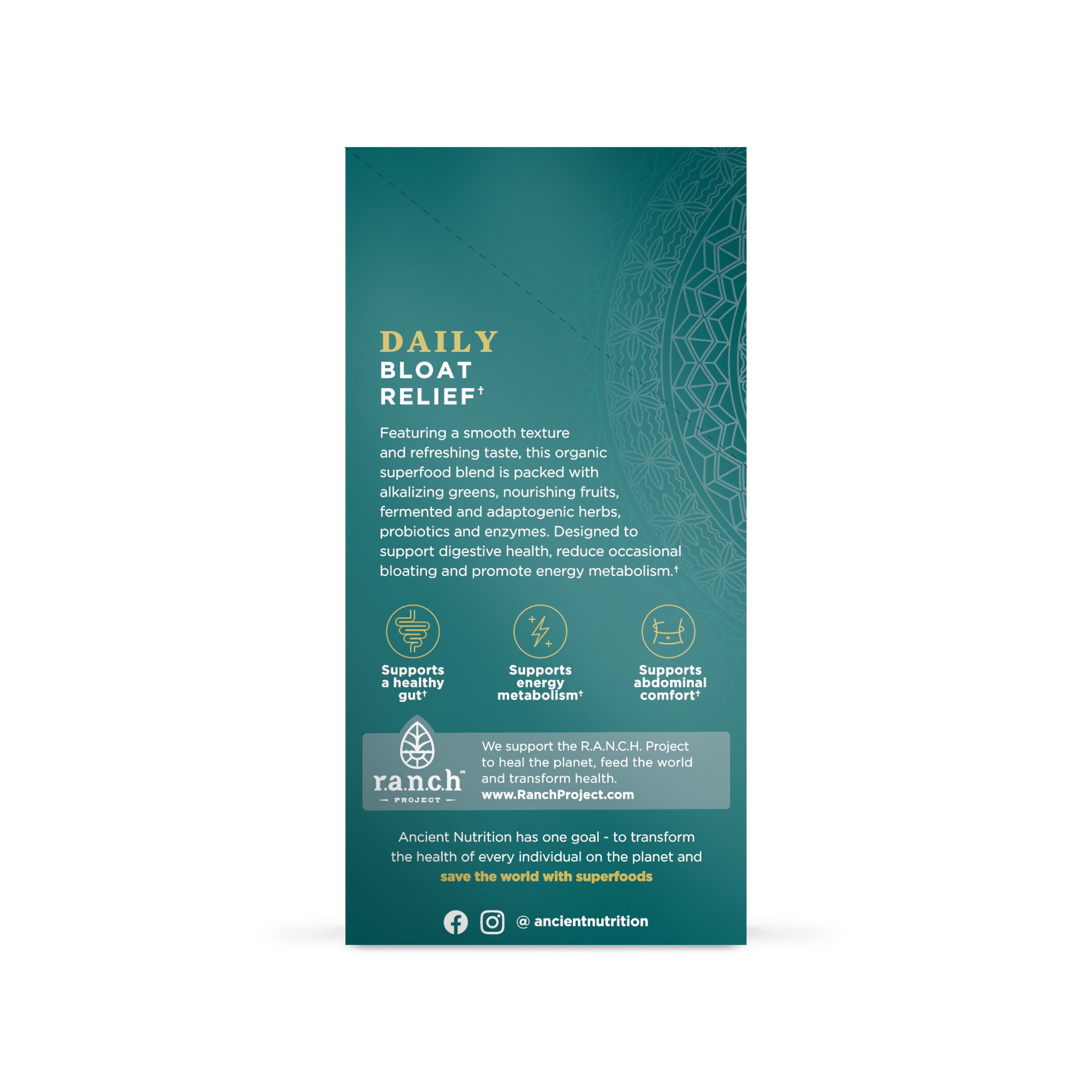 Teal box of Ancient Nutrition Daily Bloat Relief stick packs with gold text and decorative pattern.