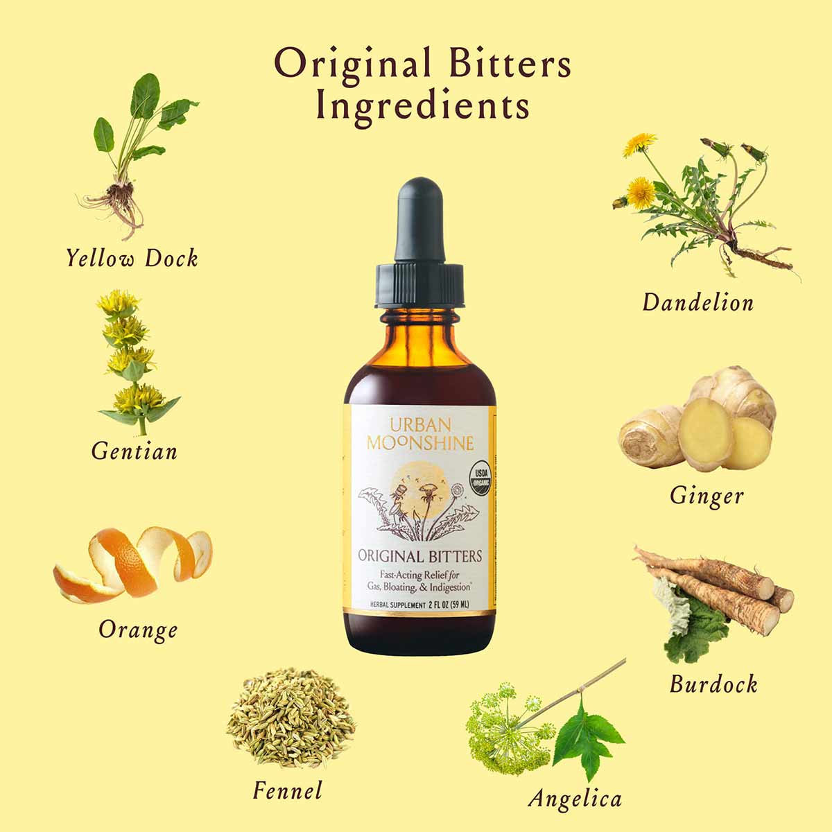 Urban Moonshine Original Bitters bottle with dropper surrounded by ingredient illustrations including yellow dock, gentian, d