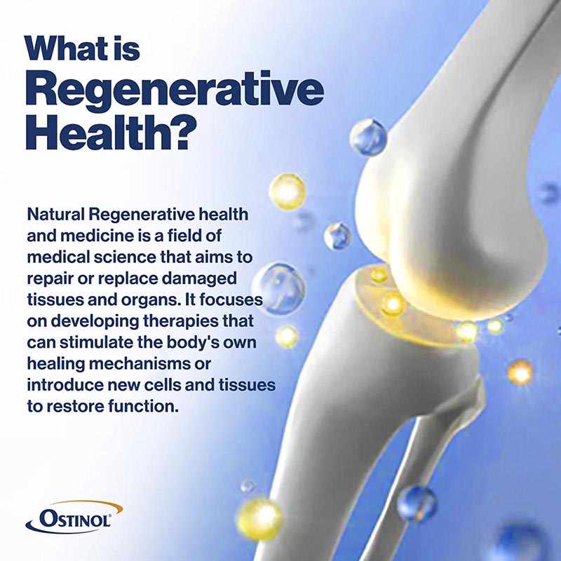 Ostinol Maximum Strength 500, 60 Capsules, by ZyCal Bioceuticals, image #3