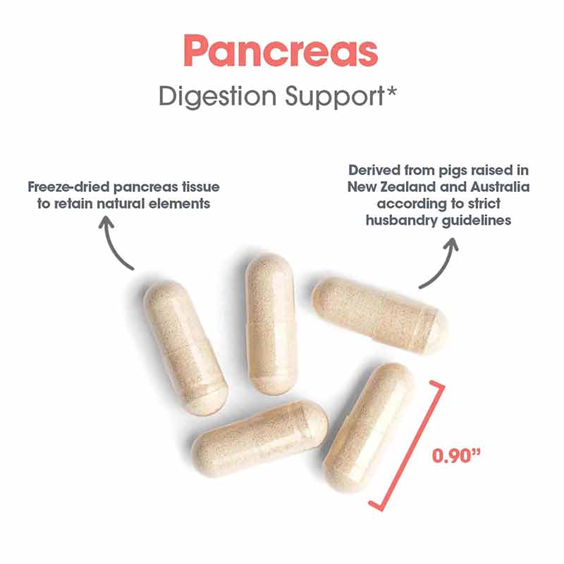 Pancreas Natural Glandular Pork, 720 Veg Capsules, by Allergy Research Group, image #4
