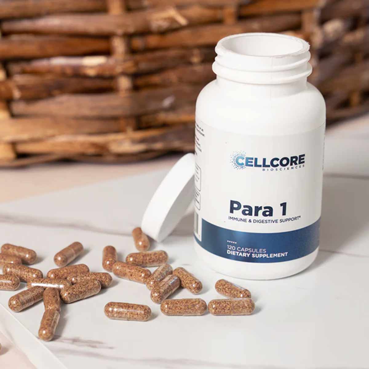 Para 1, by CellCore