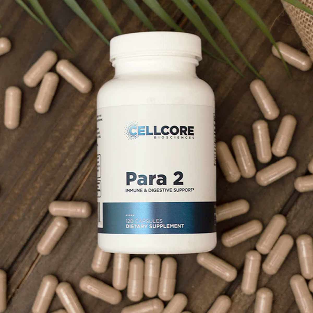 Para 2, by CellCore