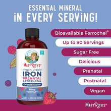 MaryRuth's Vegan Liquid Iron supplement bottle with berry flavoring, 15.22 fl oz, featuring dark red liquid in clear bottle w
