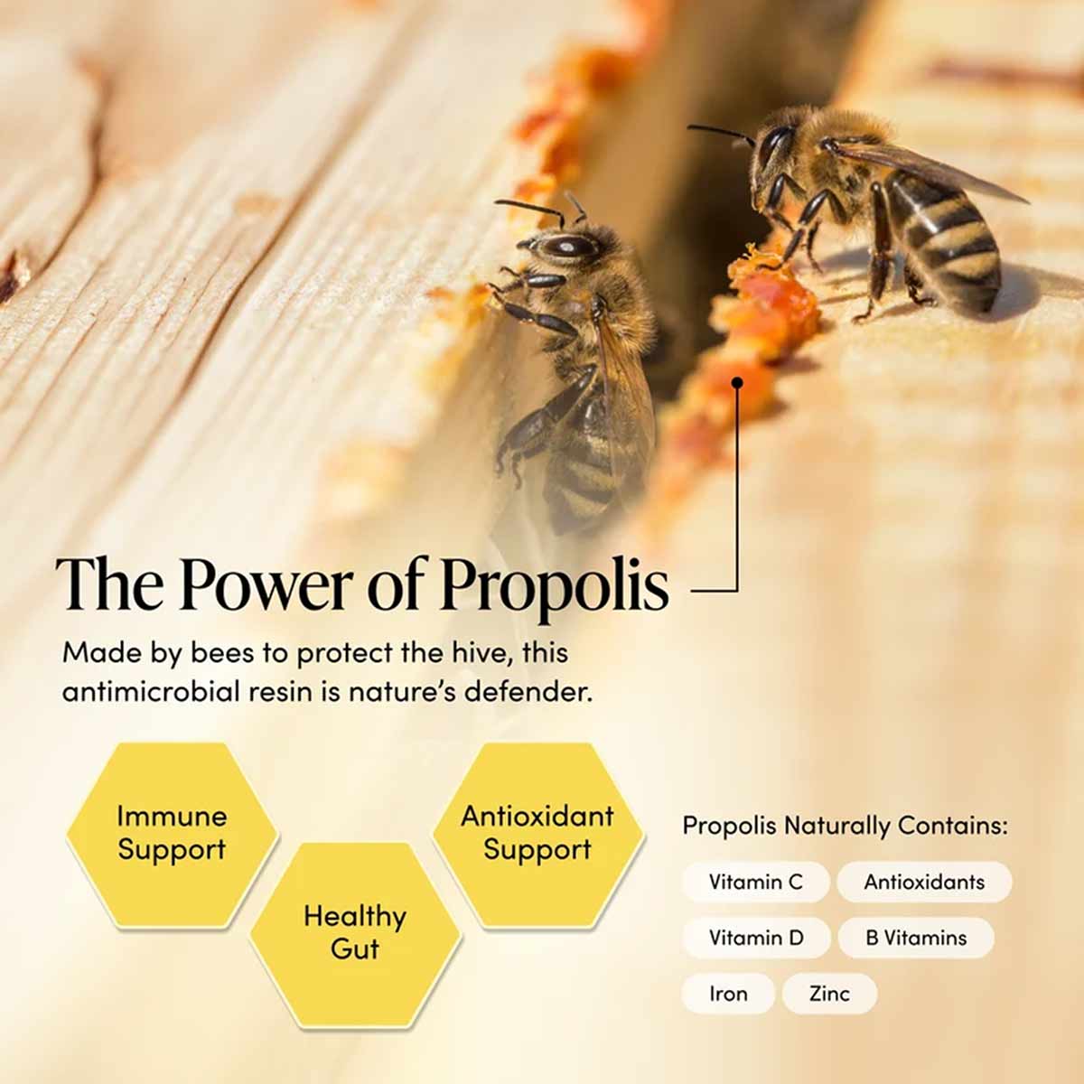 Two honeybees on wooden surface with orange propolis and educational infographic about propolis benefits.