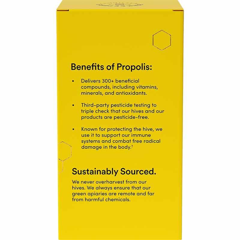 Propolis Sinus Support, by Beekeeper's Naturals, image #4