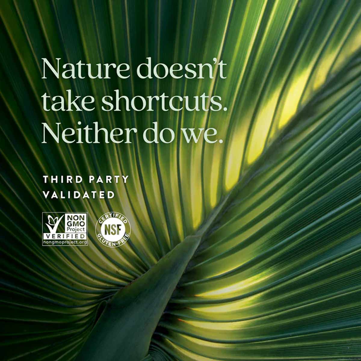 Saw palmetto leaf background with New Chapter branding, tagline, and Non-GMO Project and NSF certification logos.