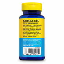 Protecting Zinc 30 Mg with Copper, 100 Veg Capsules, by Natures Life, image #2