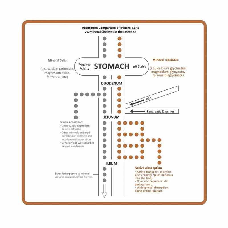 Proteo-Zinc, 60 Capsules, by Utzy Naturals, image #4
