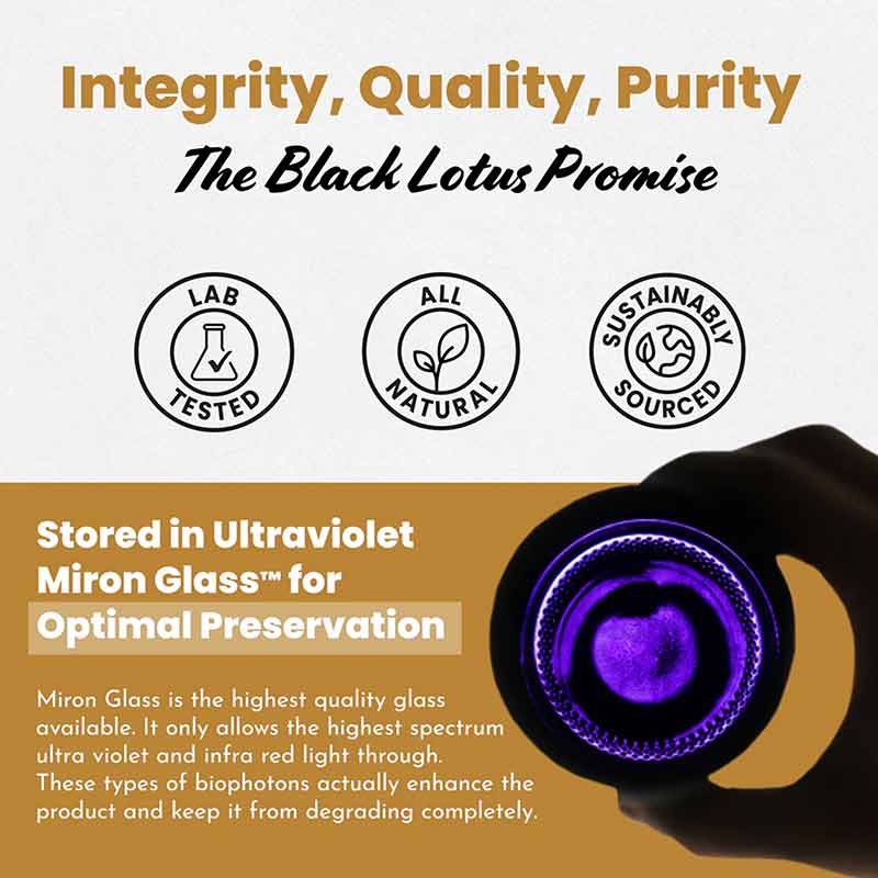 Pure Raw Shilajit Honey, 7.5 Grams, by Black Lotus Shilajit, image #2