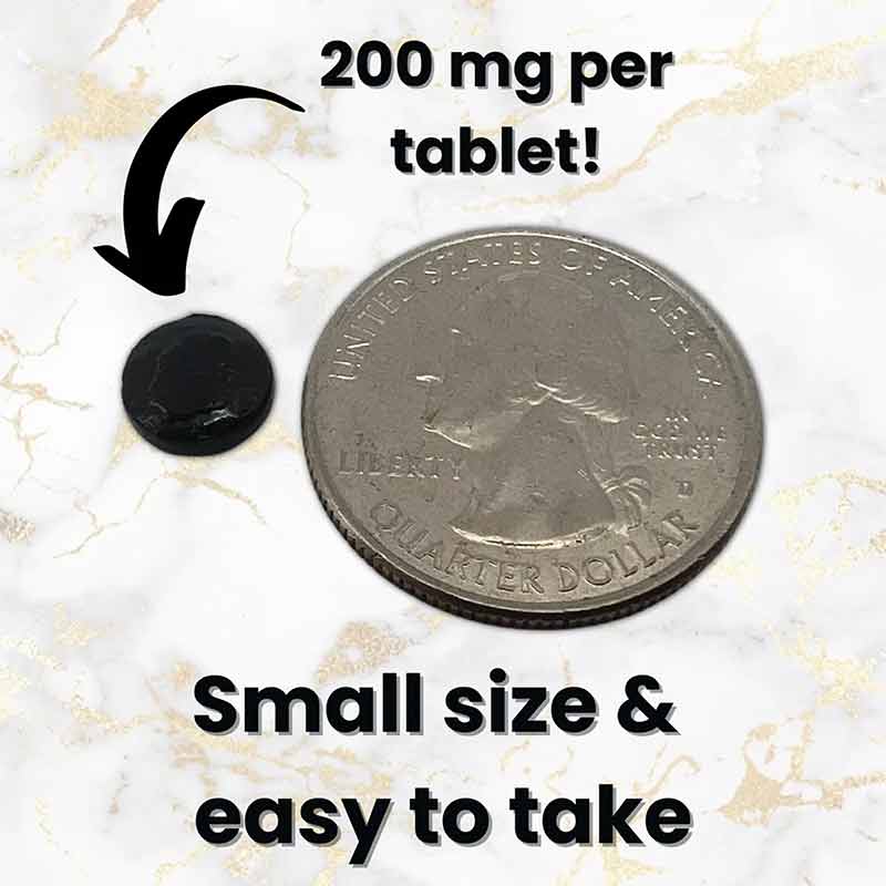 Pure Raw Shilajit Tablets, Black Lotus Shilajit – Natural Healthy Concepts