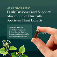 Hand holding a small amber liquid-filled capsule labeled 0.87 inches against a teal background with herb imagery and usage te